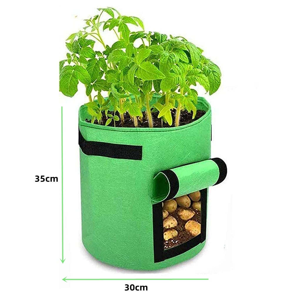 Greenhouse Growing Bags