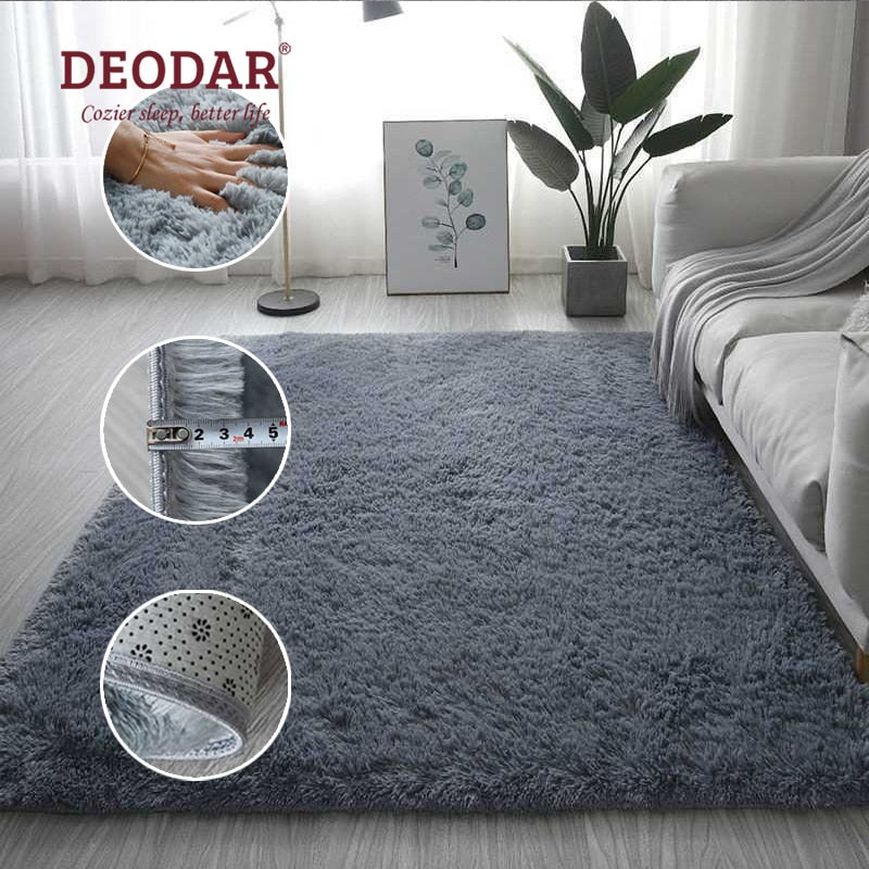 Soft Living Room Mat