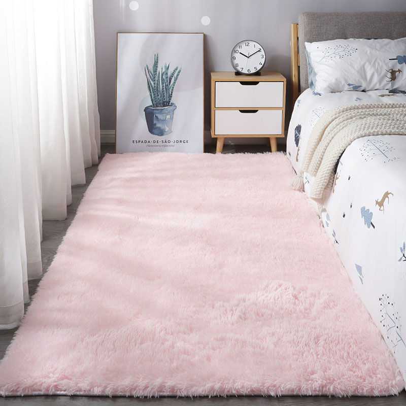 Soft Living Room Mat