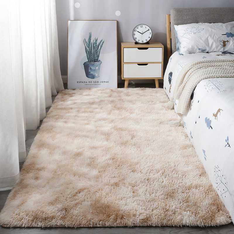 Soft Living Room Mat