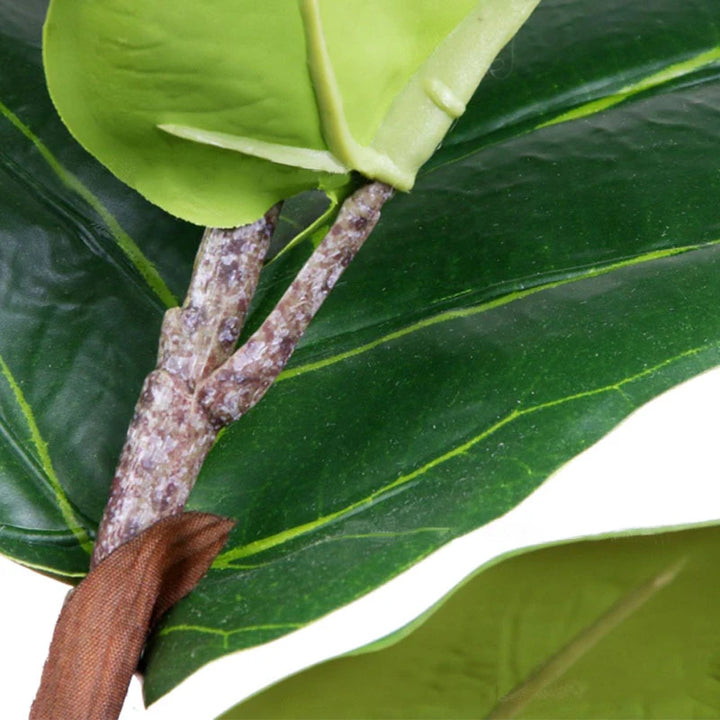 Lifelike Indoor Ficus